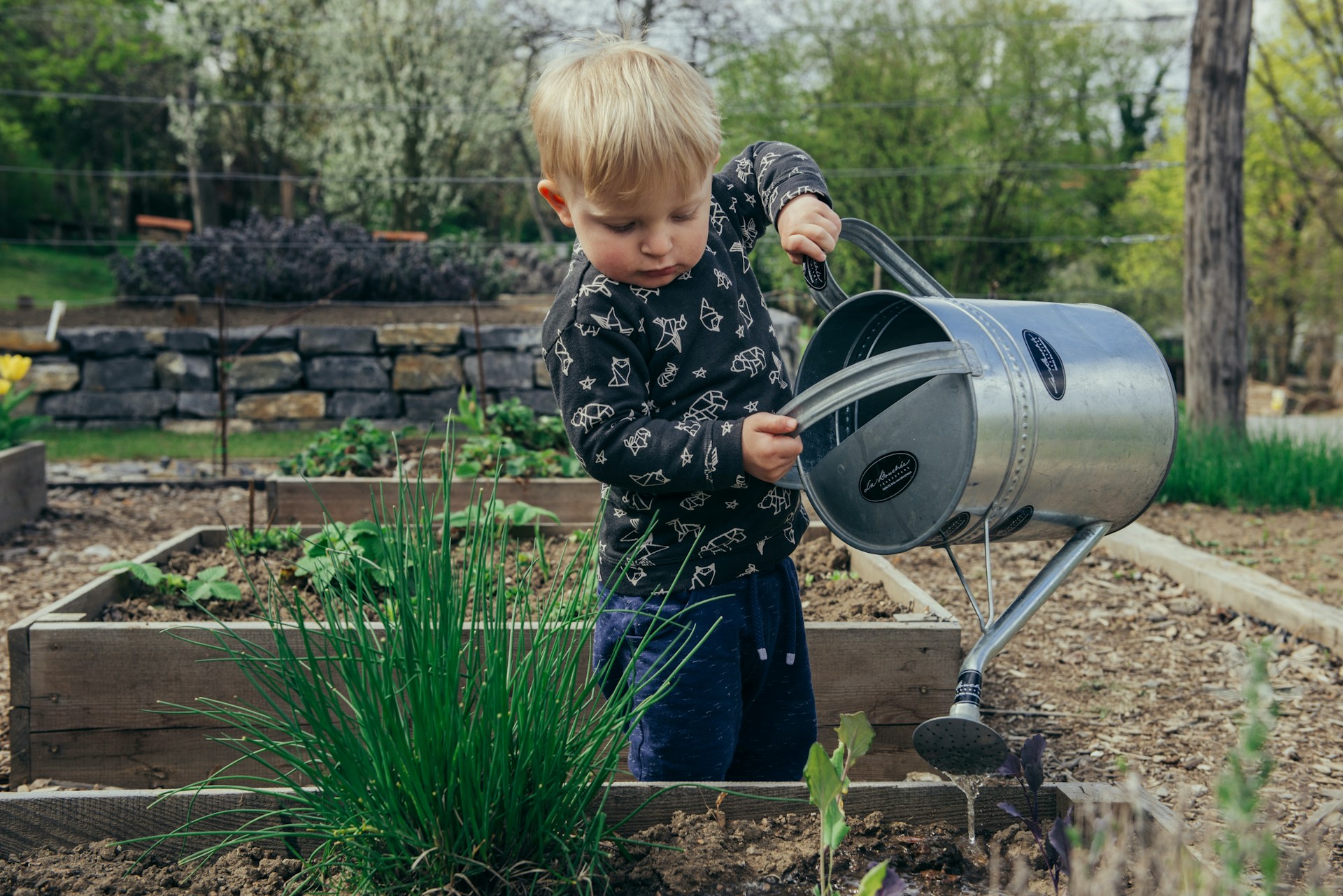 Tuinieren voor Jongeren: Een Groene Hobby voor de Toekomst